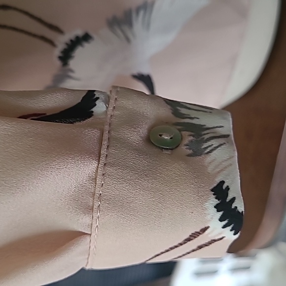 Zara Sheer Button Down - Picture 4 of 9